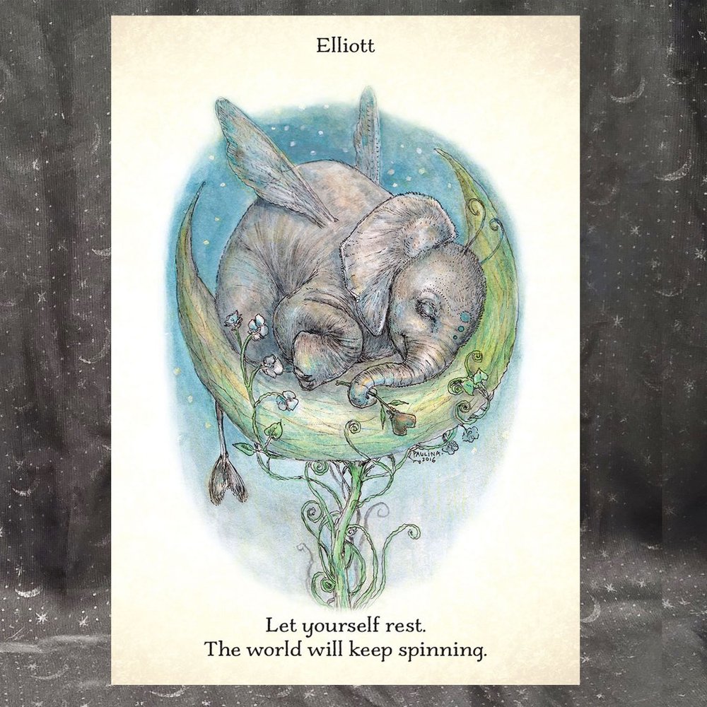 🧚‍ PIXIEKINS: A Daily Inspiration Deck Paulina Cassidy 72CARDS AUTHENTIC USGS - Picture 5 of 15